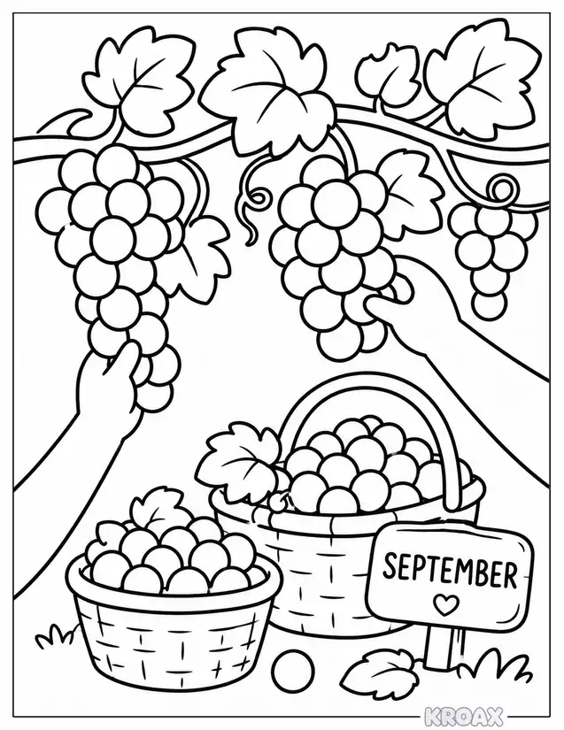 grape vine harvest and basket picking printable coloring page